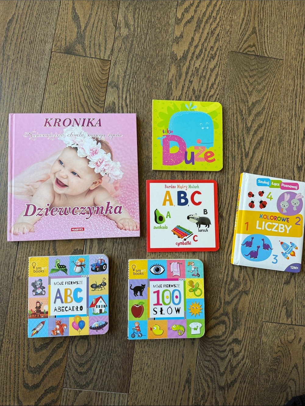 Dziewczynka Baby Memory Book polskie ksiazki dla dzieci polish baby books EUC